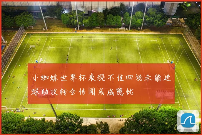 小蜘蛛世界杯表现不佳四场未能进球助攻转会传闻或成隐忧